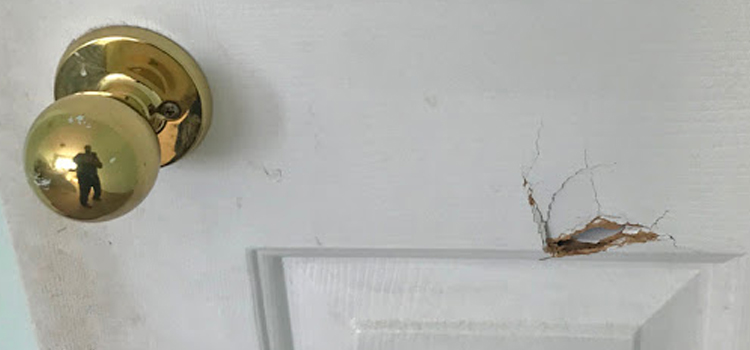 interior door hole repair Hollister